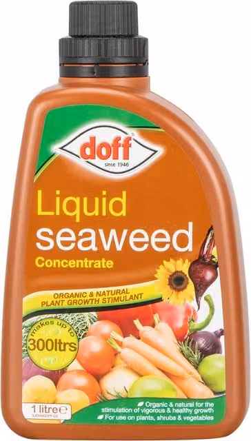 Doff Liquid Seaweed Concentrate Multi-Purpose Plant Tonic Feed, 300 ml
