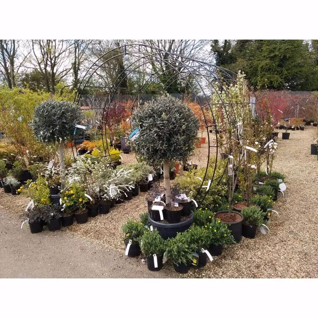 Poppyforge Round Steel Garden Tunnel in Black with Ground Spikes W/D/H: 239 x 229 x 182 cm – 2