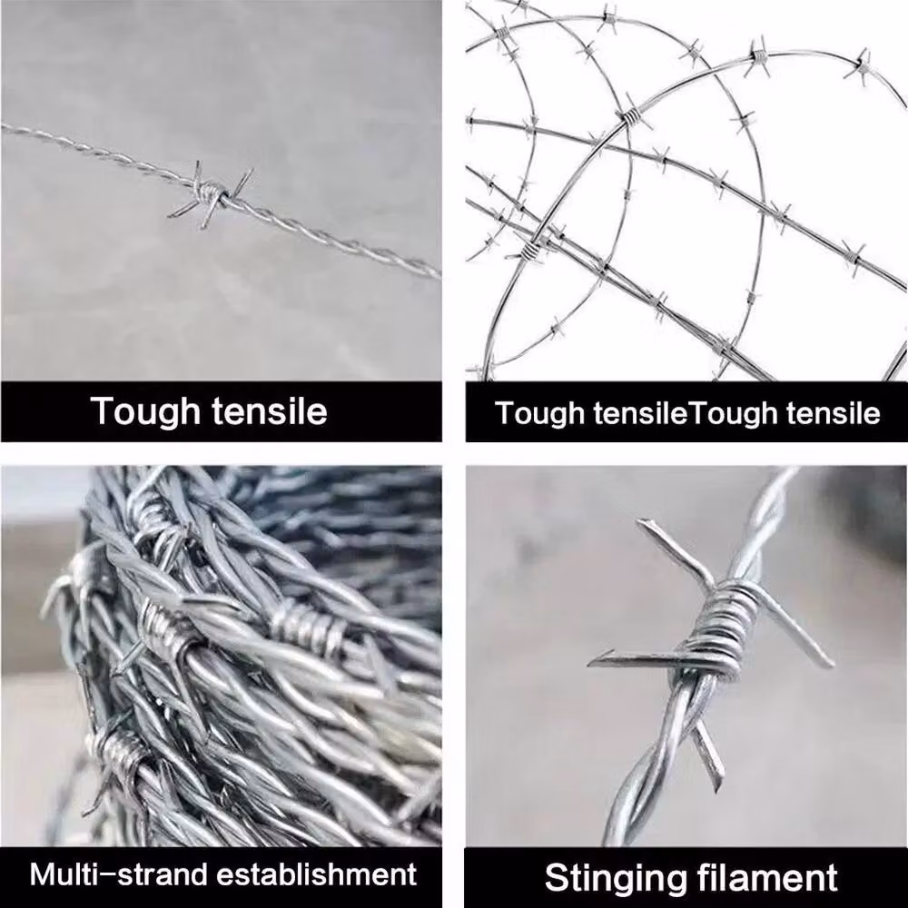SPETLEK 15m Galvanised Barbed Wire for Livestock Paddock and Field in Silver – 4