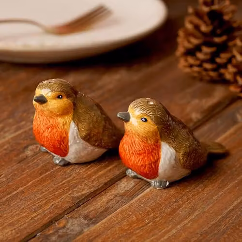 Widdop and Co Country Living Robin Ceramic Salt and Pepper Pots in Red, White and Multicolour – 2