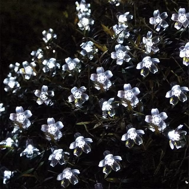EONLION Solar Powered 50 LED Cool White Fairy String Lights with Transparent Bulbs, Length: 100 cm