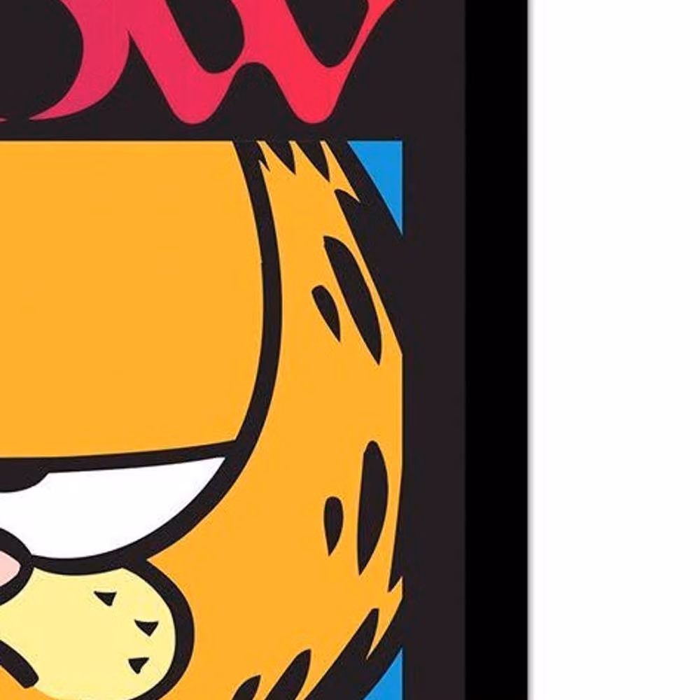 Garfield Don't Know Don't Care Multicolour Framed Paper Poster in Black – 2
