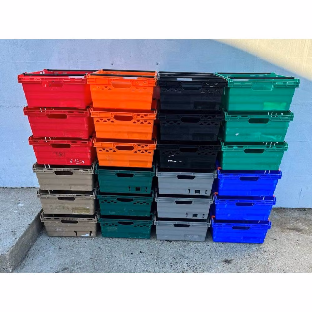 PAWNORA Stackable Plastic Storage Boxes in Multicolour – 2