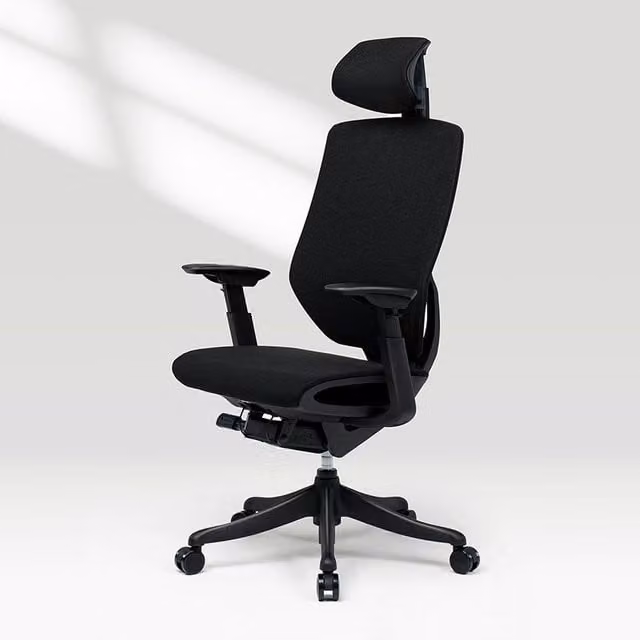 FlexiSpot BS12 PRO Ergonomic Office Chair in Black Fabric with Adjustable Headrest and Armrests