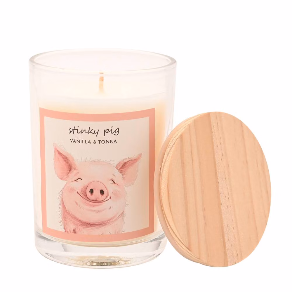 Funny Farm Stinky Pig Multicolour Figure Candle – 2