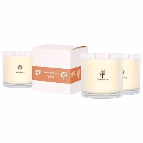 Nicola Spring Pumpkin Spice Scented Soy Wax Candles, Pack of 3, 400g per Candle, Double Wick, 45 Hour Burn Time