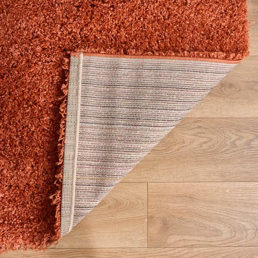 Bravich LTD Shaggy Area Rug in Terracotta, W/D/H: 290 x 200 x 5 cm – 6