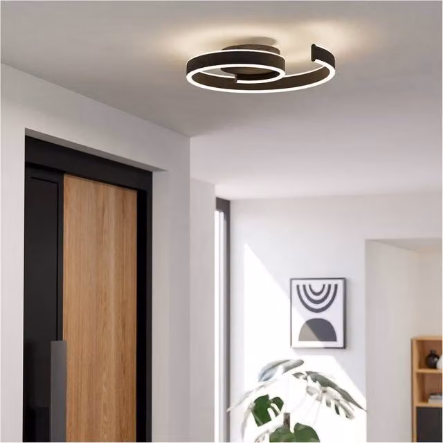 Loops Modern Black LED Ring Ceiling Light with Included Bulb