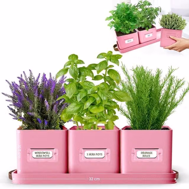 Green Thumbz Set of 3 Pink Steel Window Herb Pot Planters for Indoor and Outdoor Use