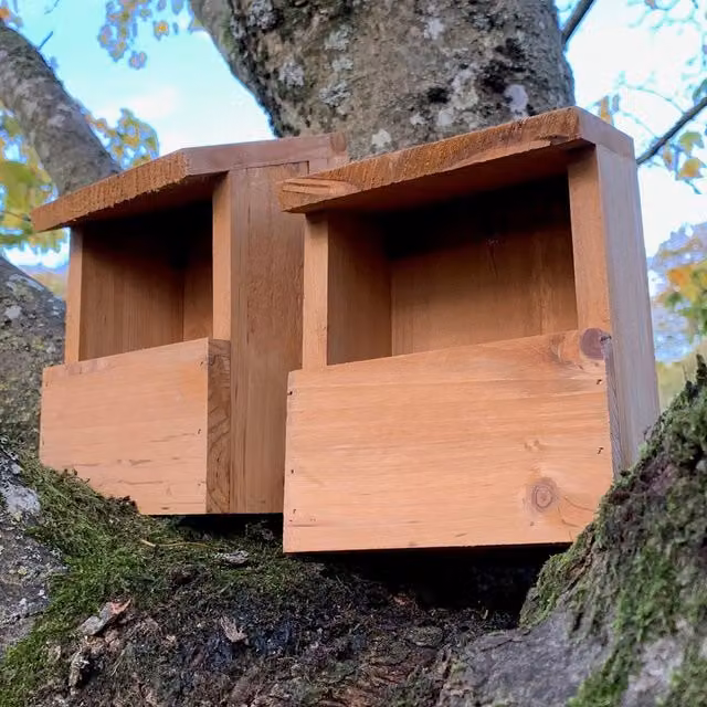 Wooden Robin Birdhouse Garden Nest Boxes in Brown