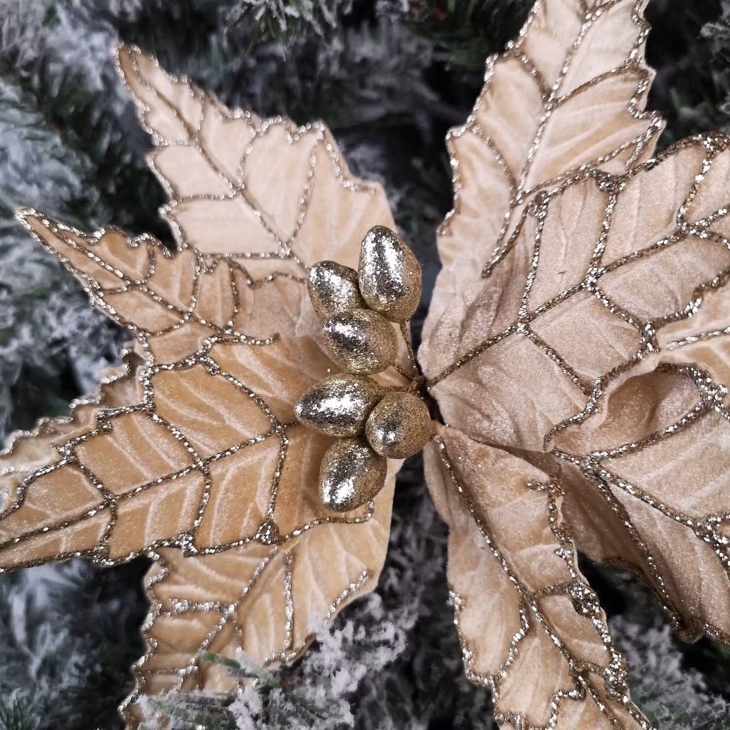 Samuel Alexander Champagne Velvet Poinsettia Stem with Glitter Christmas Decoration in Beige, 50 cm – 3