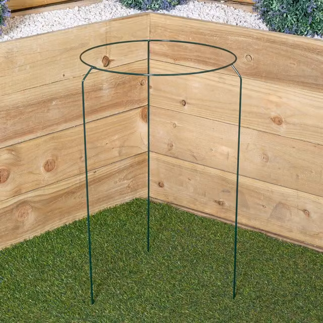 Tom Chambers Urban Metal Herbaceous Garden Plant Support Ring, Green, W: 40 cm, H: 60 cm