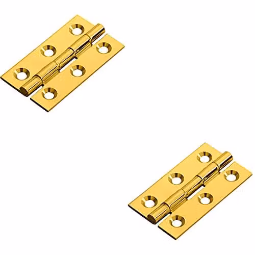 Loops 2 Pack Polished Brass Screw-On Cabinet Hinges for Small Cupboard Doors, W/D/H: 50 x 28 x 1.5 mm