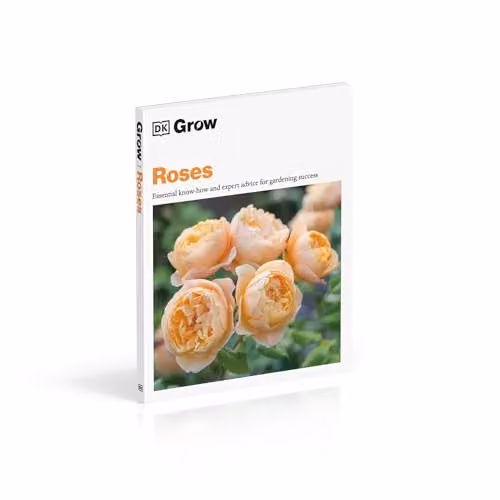 Grow Roses: Essential Know-how and Expert Advice for Gardening Success by DK – 2