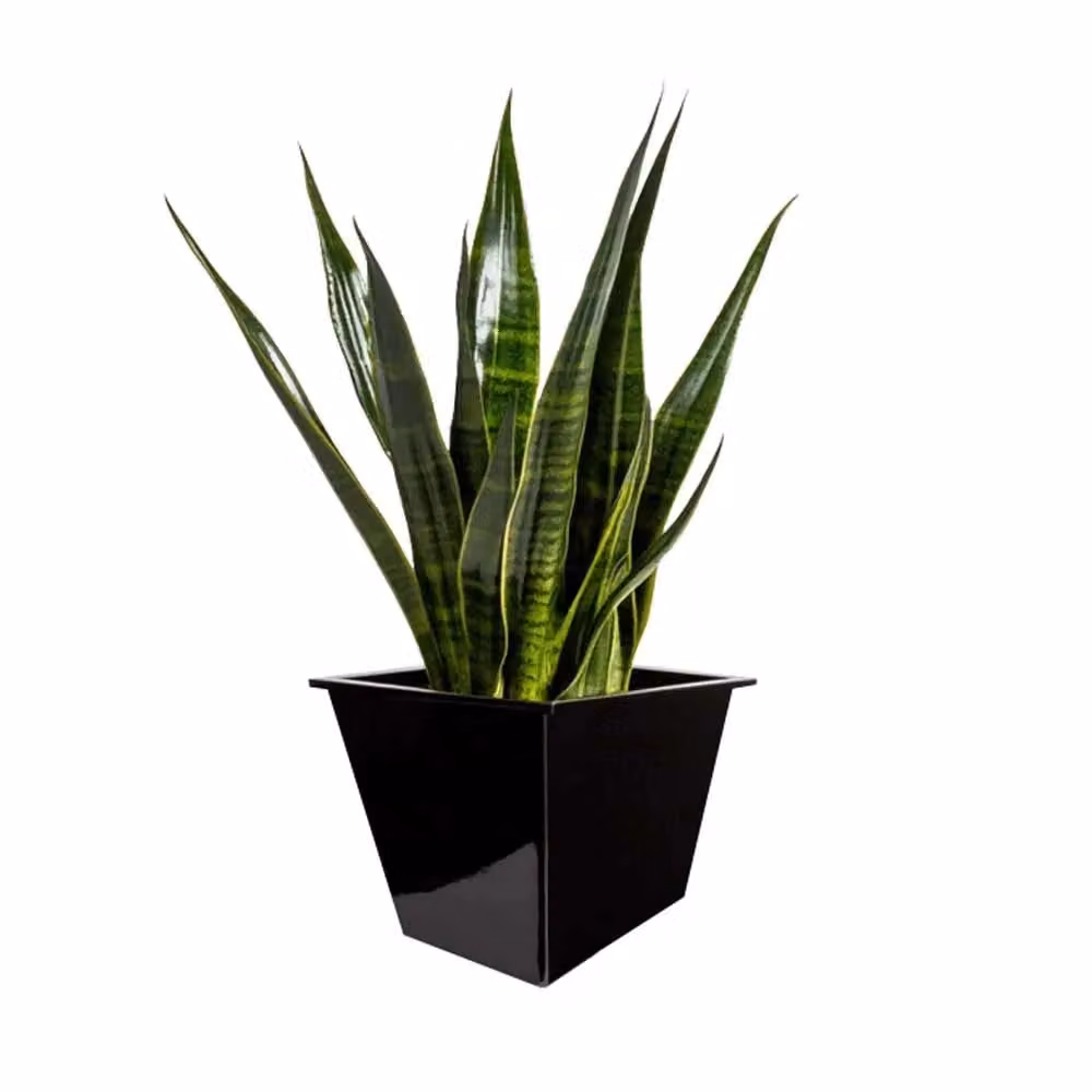 Access Garden Products Black Galvanised Steel Planter Tub, Diameter: 32 cm – 2