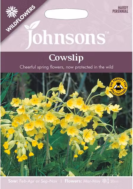 Johnsons Cowslip Wildflower Ornamental Garden Seeds, Yellow