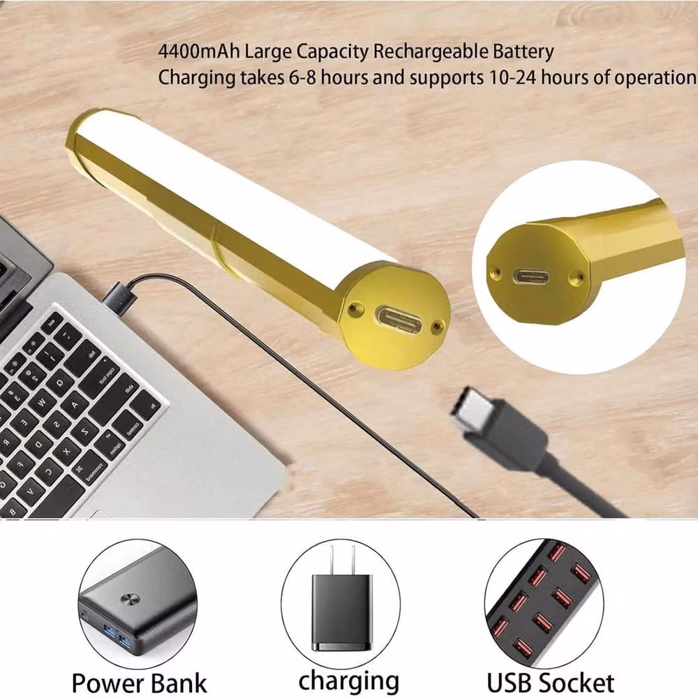 PAWNORA Gold/Brass LED Wall Display Reading Lamp with 4400mAh Rechargeable Battery – 2