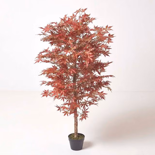 Homescapes Red Acer Tree in Pot, Height: 150 cm