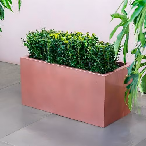 Primrose Galvanised Steel Outdoor Trough Planter in Copper Finish W: 100 cm, D: 40 cm, H: 40 cm – 4
