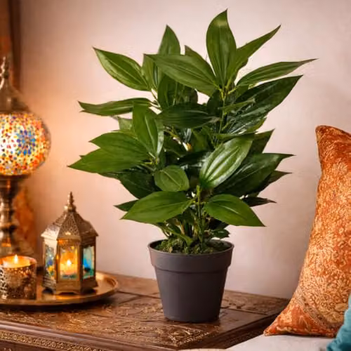 Leaf Design UK Realistic Large Artificial Potted Green Plant, Height: 70 cm – 4