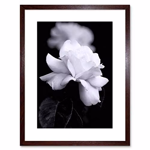 Wee Blue Coo Black and White Rose Petal Floral Framed Wall Art Photograph