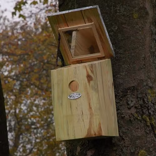 Esschert Mirror Nest Box in Brown – 2