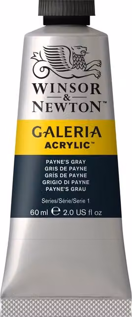 Winsor & Newton Galeria Acrylic Paint, Paynes Grey, 60 ml