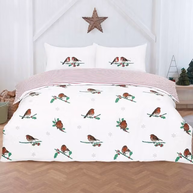 Rapport Home Robin Reversible Striped Microfibre Duvet Cover and Pillowcase Set, Multicolour, W: 140 cm, L: 200 cm