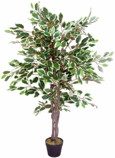 Leaf Realistic Artificial Variegated Ficus Tabletop Tree in Green