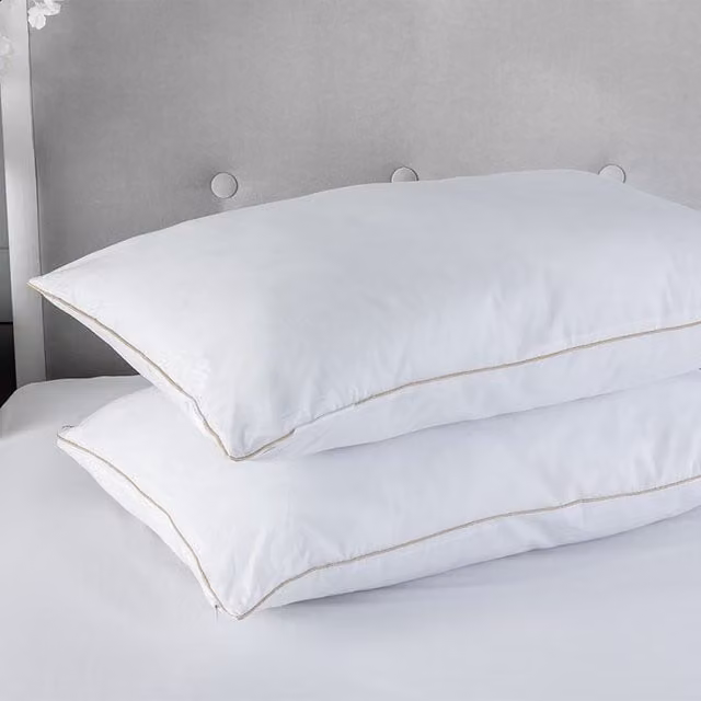 Snug City Pair of Soft Egyptian Cotton Pillows with Hollowfibre Filling in White