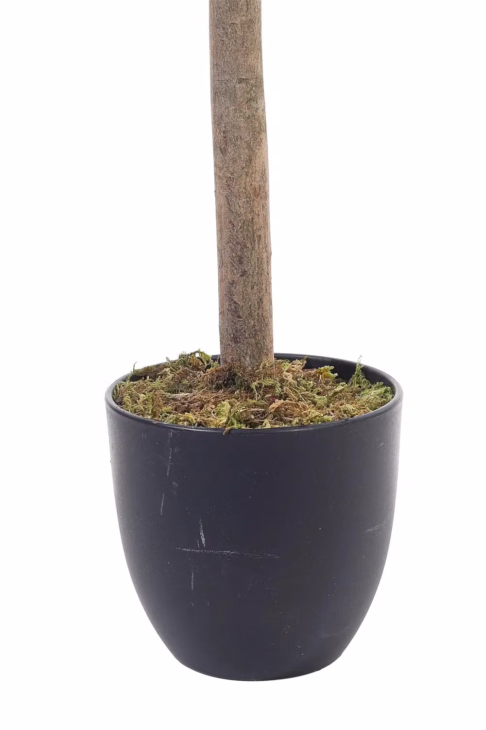 Living and Home Green Artificial Schefflera Arboricola Tree in Pot, Height: 122 cm – 5
