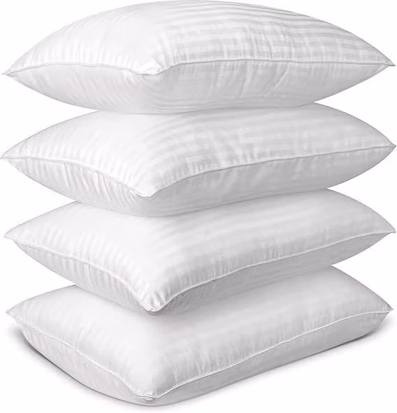 Early's of Witney Save the World 4 Pack Rectangular Pillows in White