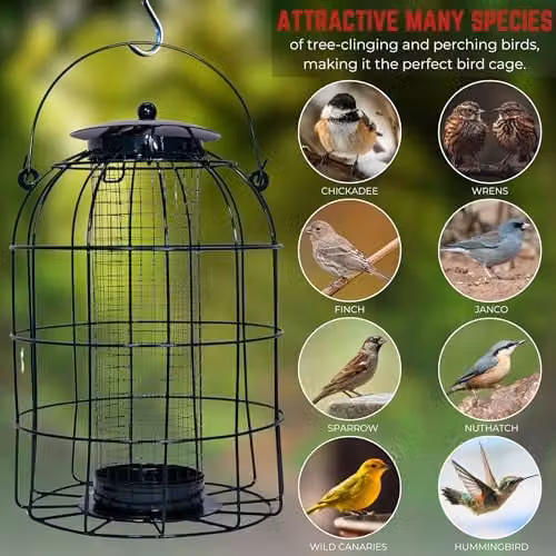 Samuel Alexander Pack of 2 Black Metal Wild Bird Hanging Nut Feeders with Squirrel Guard – 5