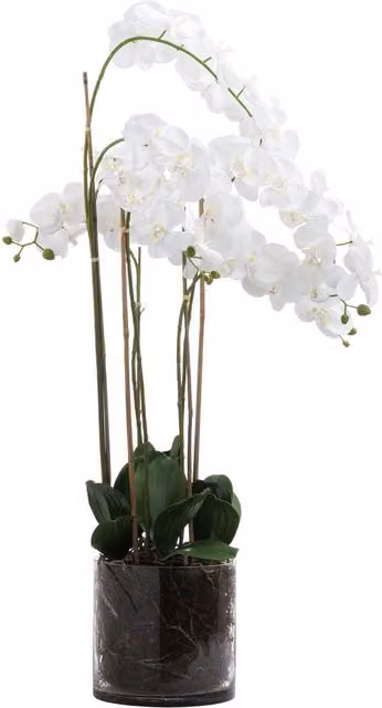 Love Lace Large White Tall Artificial Orchid in a Glass Pot – 1