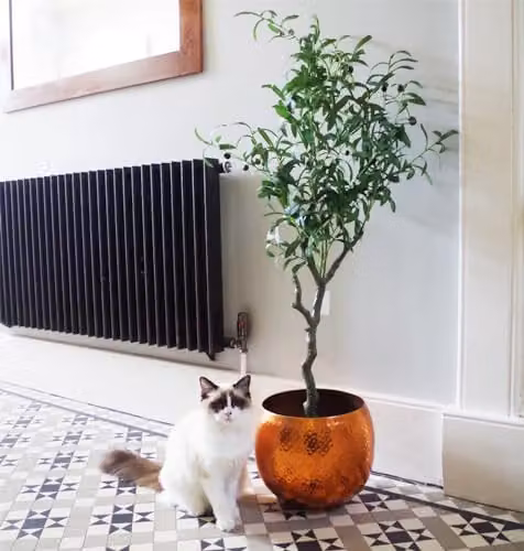 Leaf Artificial Olive Tree in Green, Height: 120 cm