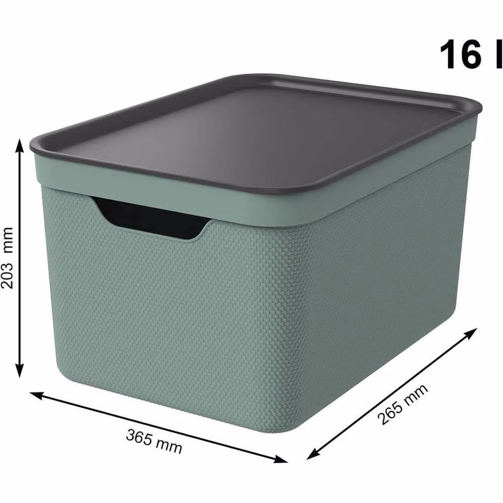 Rotho 3-Set Solid Green Plastic Storage Boxes, 50 cm – 2