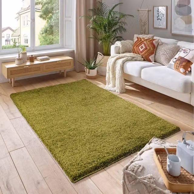 Smart Living Wholesale Ltd. Green Shaggy Area Rug, Rectangular, 290 cm