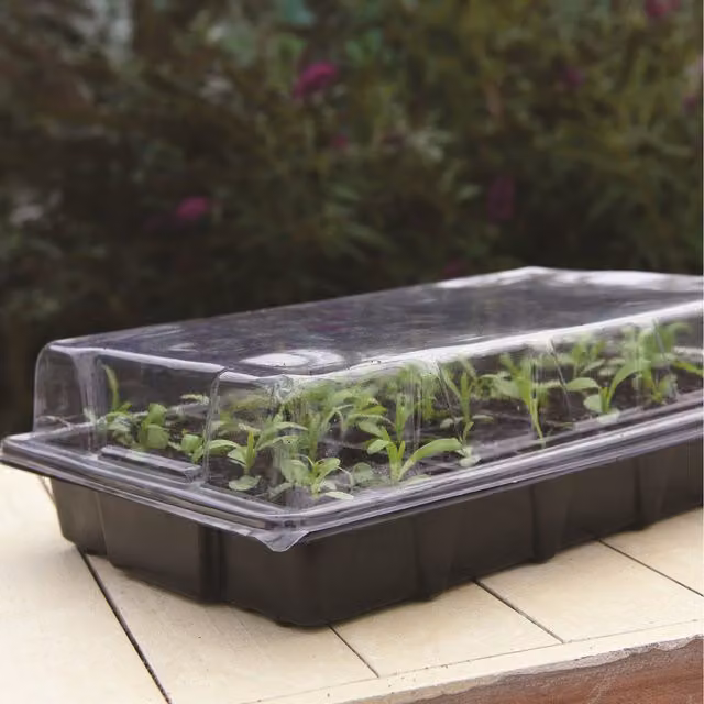 Garden Grow Triple Pack Plug and Seed Growing Trays in Black and Transparent Plastic