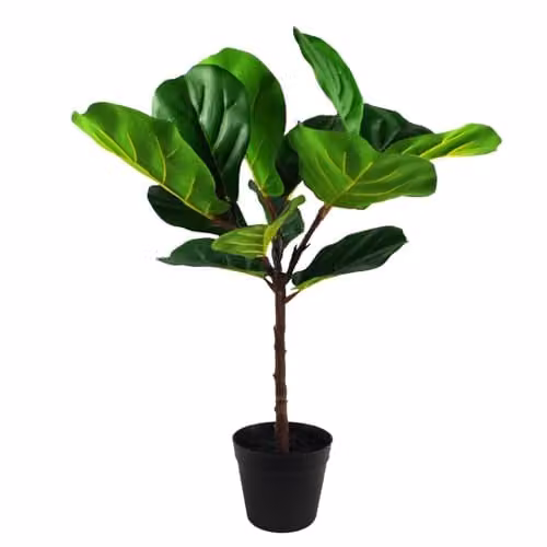 Botanik Green Artificial Potted Office Plant Tree, Tabletop Plastic, H 70 cm x W 40 cm x D 40 cm
