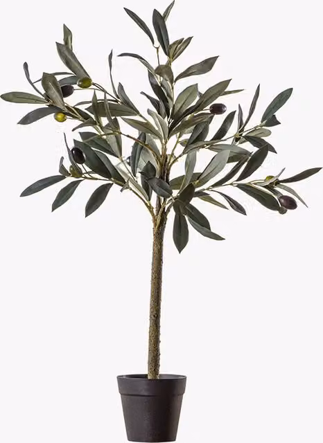 Perch & Parrow Small Green Faux Mediterranean Olive Tree for Tabletop