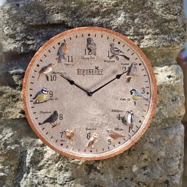 Marco Paul Birdberry 12 inch Round Analog Outdoor Wall Clock in Beige – 1