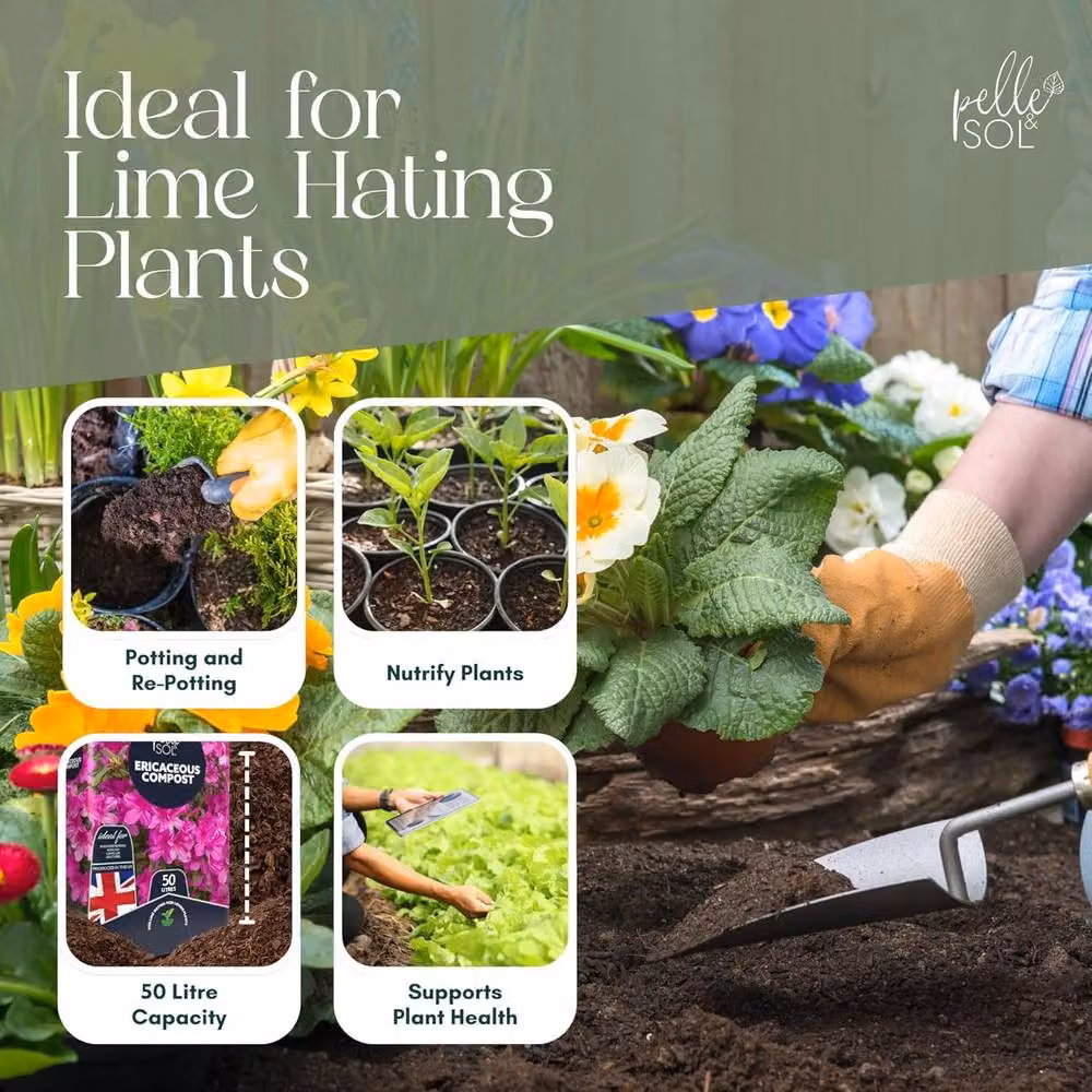 Pelle & Sol Ericaceous Potting Soil Peat Free Compost, 50 l – 3