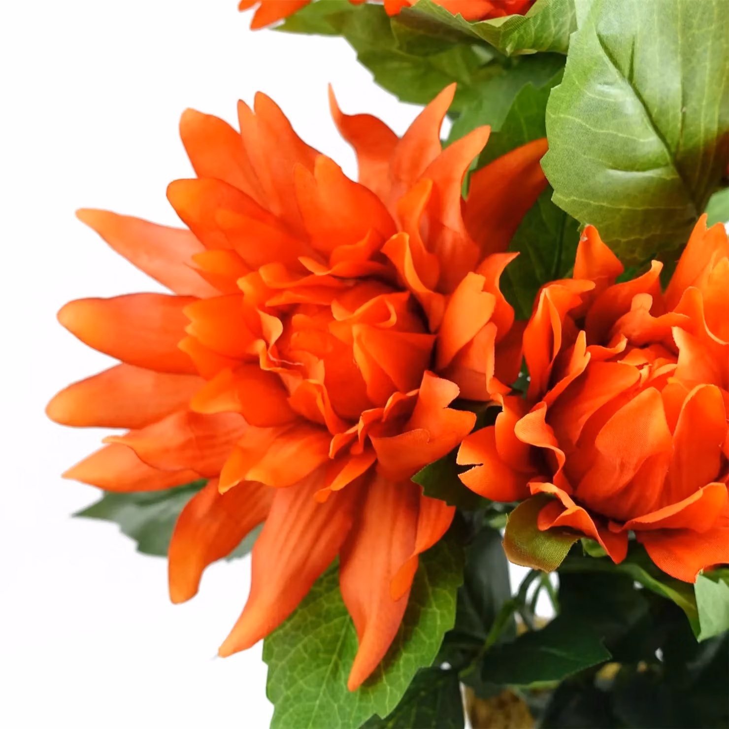 Leaf Design UK Red Dahlia Pinnata Artificial Potted Plant, Height: 55 cm – 3