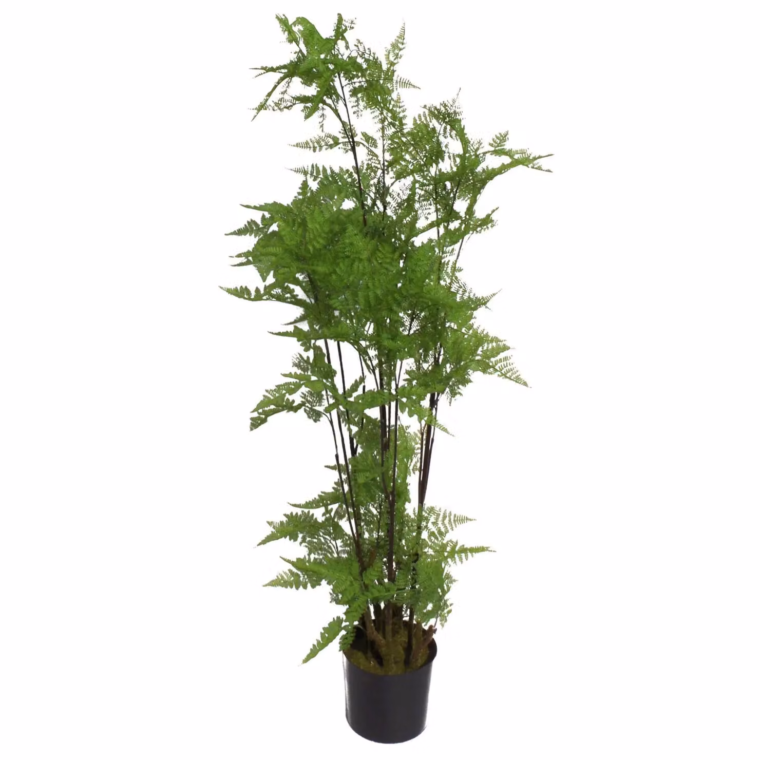 Leaf Design Realistic Artificial Fern Plant with Natural Moss Base in Green, Height: 150 cm – 2