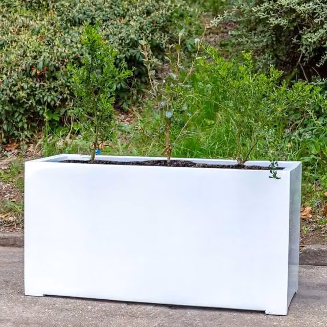 Primrose Stone Trough Planter in White