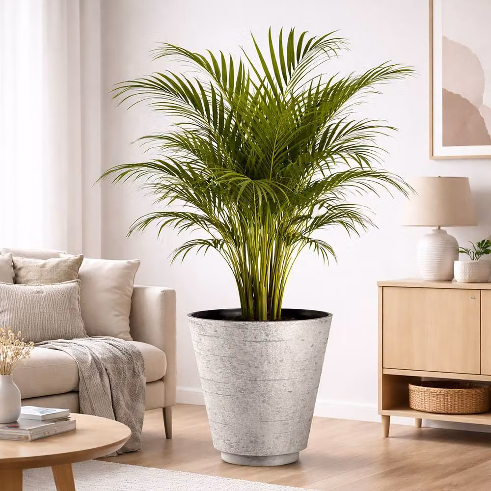 Simpa Hudson Textured Effect Plastic Planters, Set of 2, Beige, Medium – 2