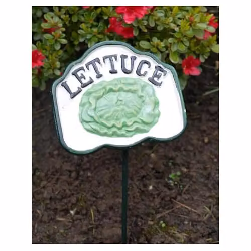 Gifts Direct 2 U Metal Lettuce Garden Plant Marker in Green and White