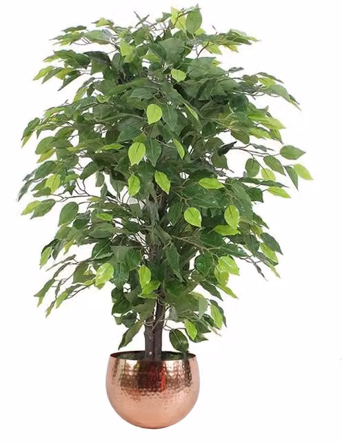 Extra Bushy Artificial Ficus Tree Plant in Green, Height: 60 cm