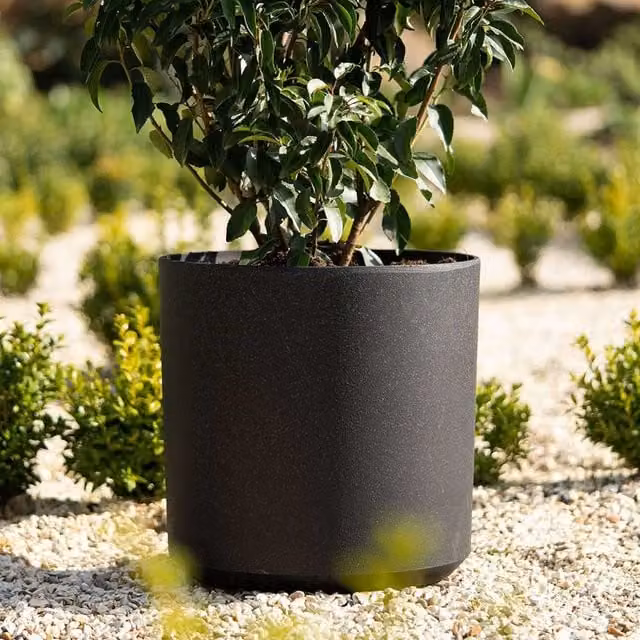 Primrose Black Plastic Cylinder Planter Tub