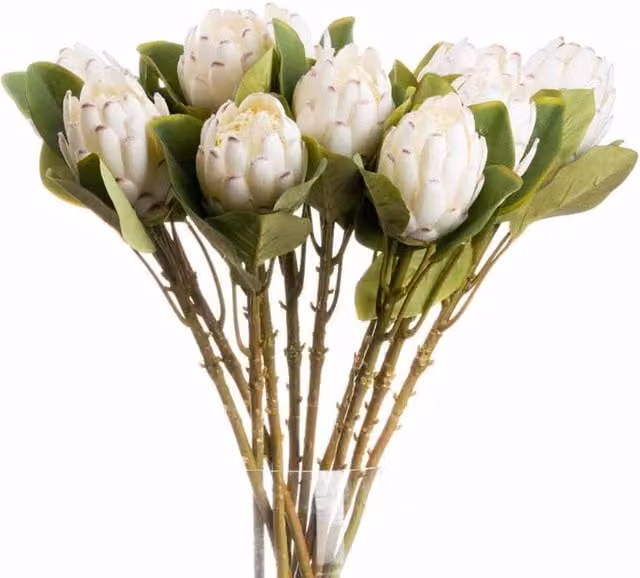 Lemon Pavilion Furniture and Decor White Closed Protea Artificial Flower Single Stem, W8 x D12 x H67 cm